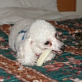 Pinocho contentment